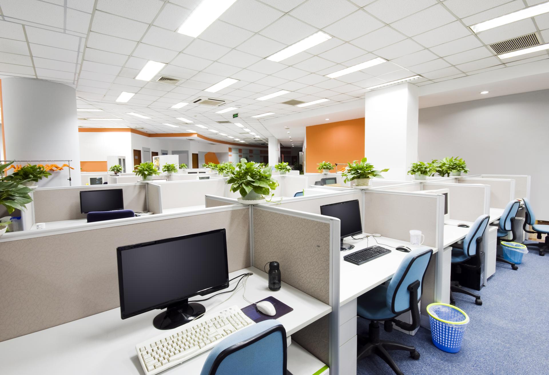 Top Commercial Cleaning In North Shore Auckland